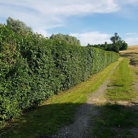 Maison Moderne A La Campagne Bezinghem Exteriör bild