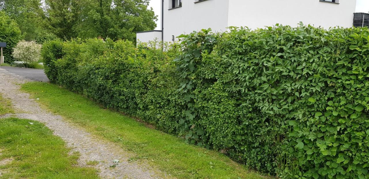 Maison Moderne A La Campagne Bezinghem Exteriör bild