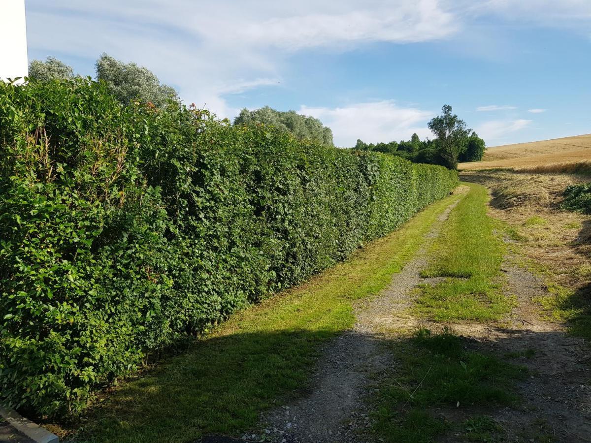 Maison Moderne A La Campagne Bezinghem Exteriör bild